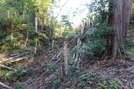 秋川丘陵・ここは切り堀の跡か