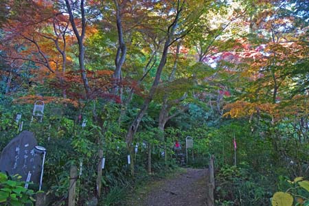 日野市・高幡不動の参道は紅葉が進んで