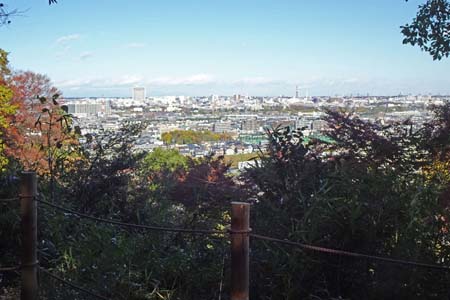 高幡不動から平山城址公園・展望台から広がる立川周辺の街並み