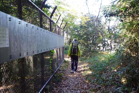高幡不動から平山城址公園・動物園の柵沿いを進みます