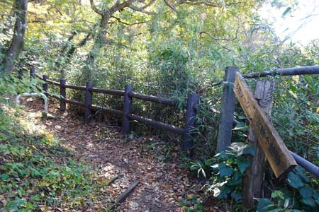 高幡不動から平山城址公園・住宅地のはずれから再び山道へ