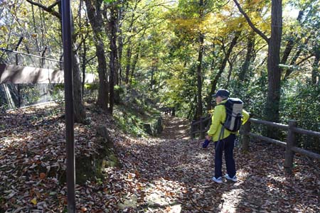 高幡不動から平山城址公園・落ち葉を踏みしめながら雑木林の道を