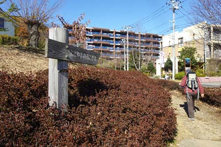 はるひ野駅から黒川駅・住宅地の中からよこやまの道への道標