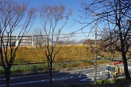 はるひ野駅から黒川駅・県道の先に奥多摩の山影