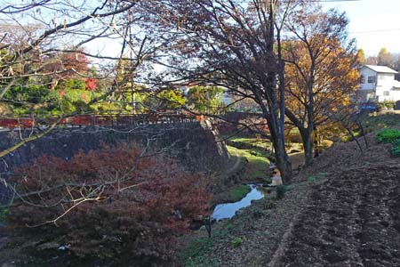 はるひ野駅から黒川駅・紅葉の中をせせらぎに沿って