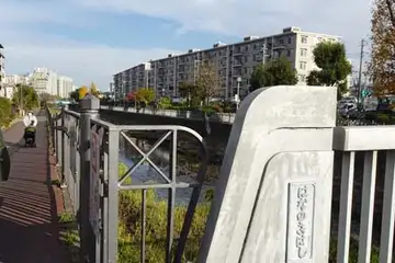 花の木橋