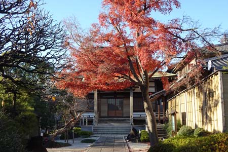 横浜市神奈川区・良泉寺の境内に紅葉