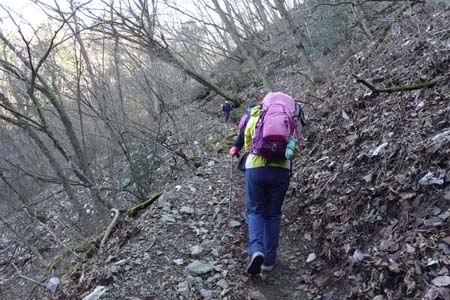 上高岩山・すっかり葉の落ちた登山道を登り