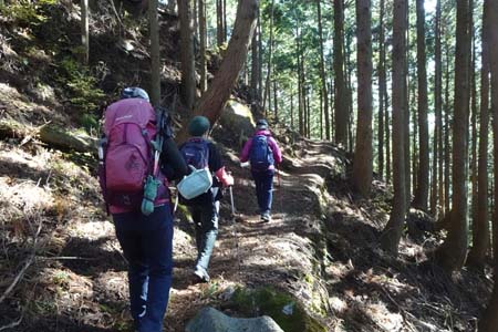 上高岩山・あくば峠からは樹林帯の道