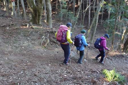 上高岩山・あくば峠から道を右に