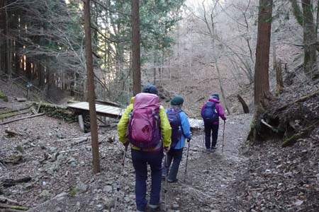 上高岩山・木橋を渡ります