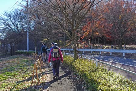 よこやまの道・舗装道路に沿った道を歩き