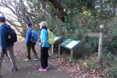 よこやまの道・小山田緑地への道を右に分け