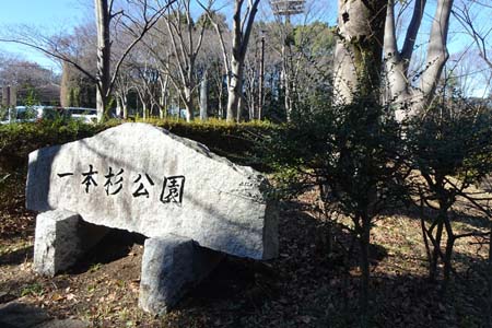 よこやまの道・一本杉公園