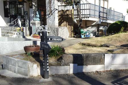 よこやまの道・妙櫻寺からシラカシの大木へ