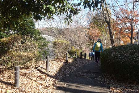 よこやまの道・紅葉の雑木林の道