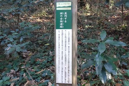よこやまの道・並列する謎の古街道跡