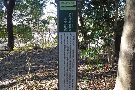 よこやまの道・分倍河原合戦と県境の尾根