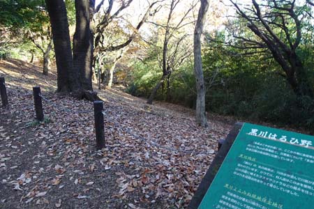 よこやまの道・黒川散策路への分岐