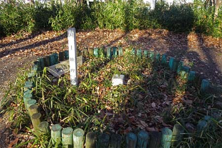 よこやまの道・諏訪ヶ岳の山頂に三角点