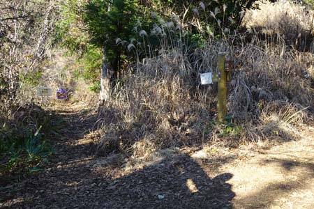 南高尾山稜・大垂水峠への道は通行止め