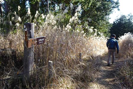 南高尾山稜・大弛峠へと下る道