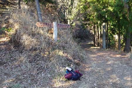 南高尾山稜・学習歩道の分岐