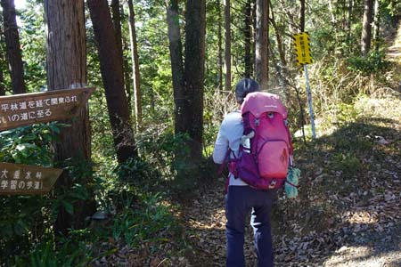 南高尾山稜・大垂水峠への道を下り