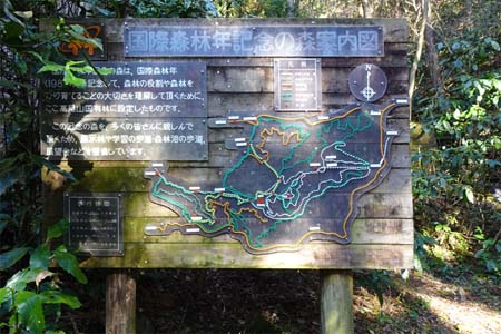 南高尾山稜・国際森林年記念の森案内板