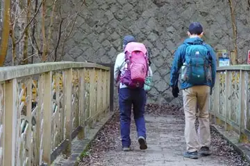 大垂水峠の木橋