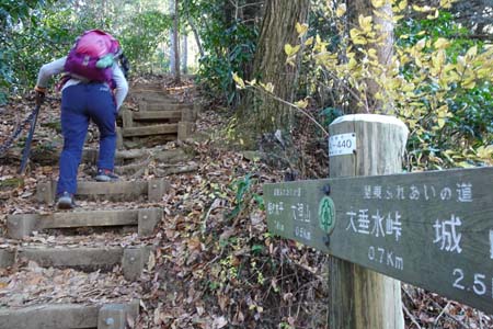 南高尾山稜・木の階段を大洞山へ