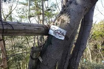 金比羅山にベンチ