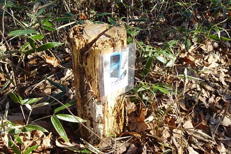 南高尾山稜・手作りのスマホ台