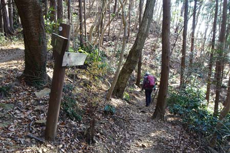 南高尾山稜・巻き道があります