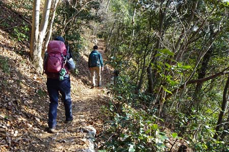 南高尾山稜・心地良い雑木林の道