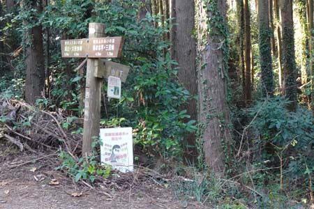 南高尾山稜・西山峠