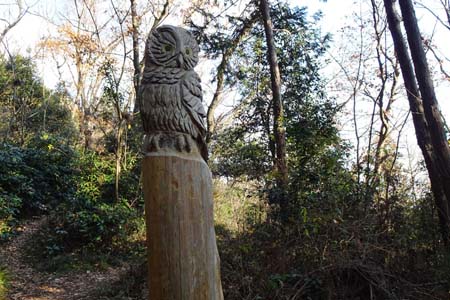 南高尾山稜・フクロウもいました