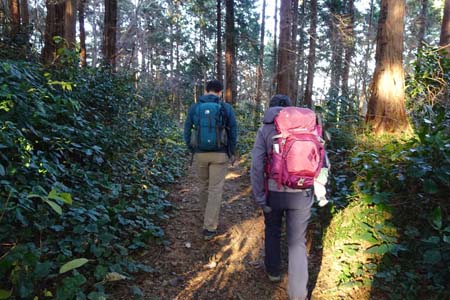 南高尾山稜・三沢峠から梅ノ木平へ