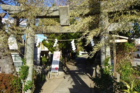 三浦市・三浦白山神社の正月飾りで飾られた石鳥居