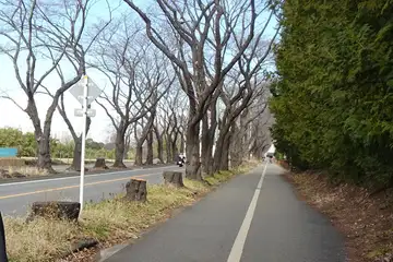 海軍道路