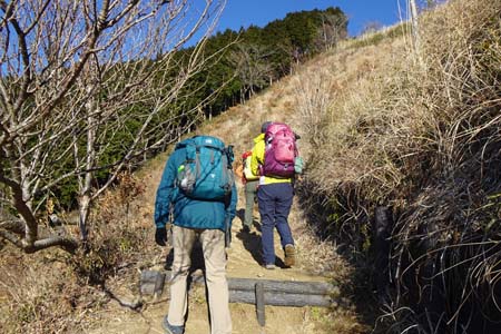 大野山・明るいカヤトの斜面を登って行きます