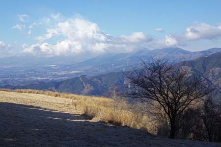 大野山・山頂から眺める富士山