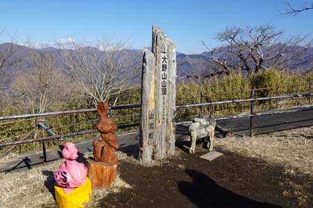 大野山・山頂標識の側にかわいらしいウサギ