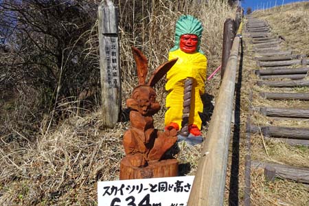 大野山・急な階段の途中にスカイツリーと同じ高さ