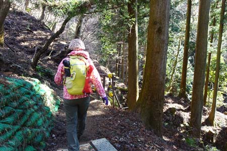 大野山・樹林帯の中を下って行きます