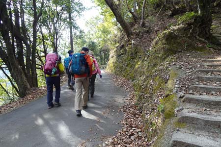 大野山・舗装道路を登り返します