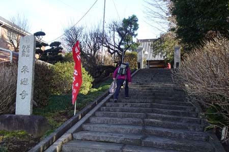 茅ヶ崎市・来迎寺の石段