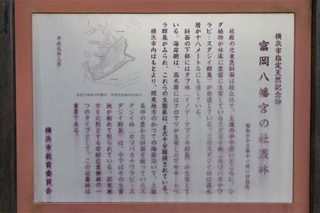 横浜市金沢区・富岡八幡宮の社叢の森案内板