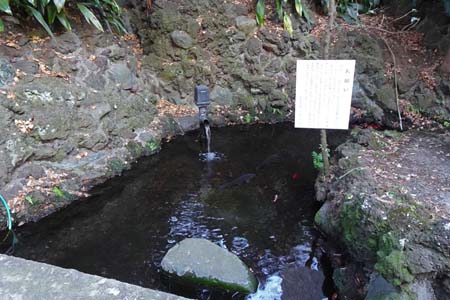 横浜市泉区・御霊神社の宇田川源泉