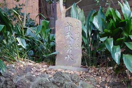 横浜市泉区・御霊神社の弁天の湧水